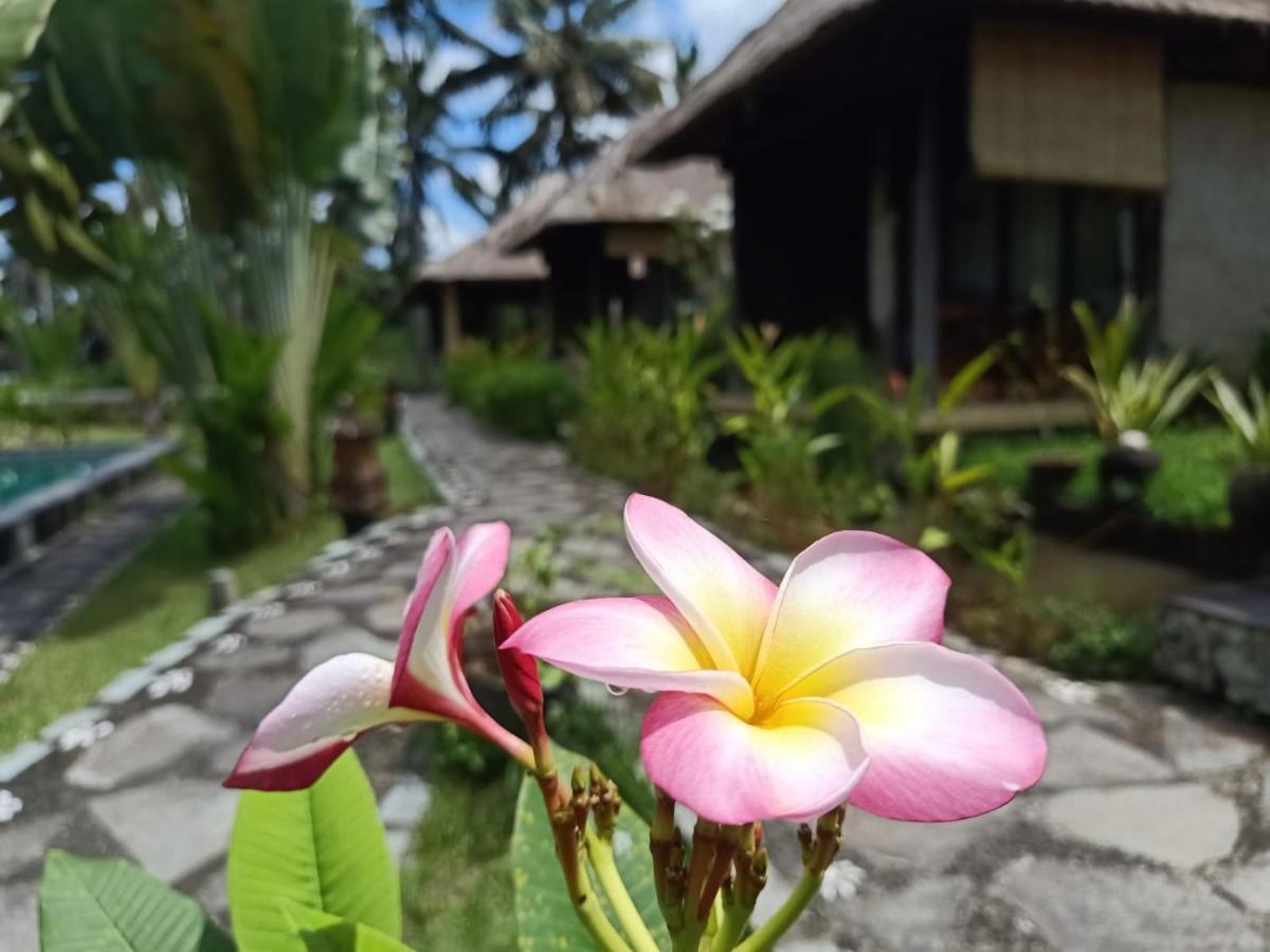 Taman Bintang Villa Ubud Exterior foto